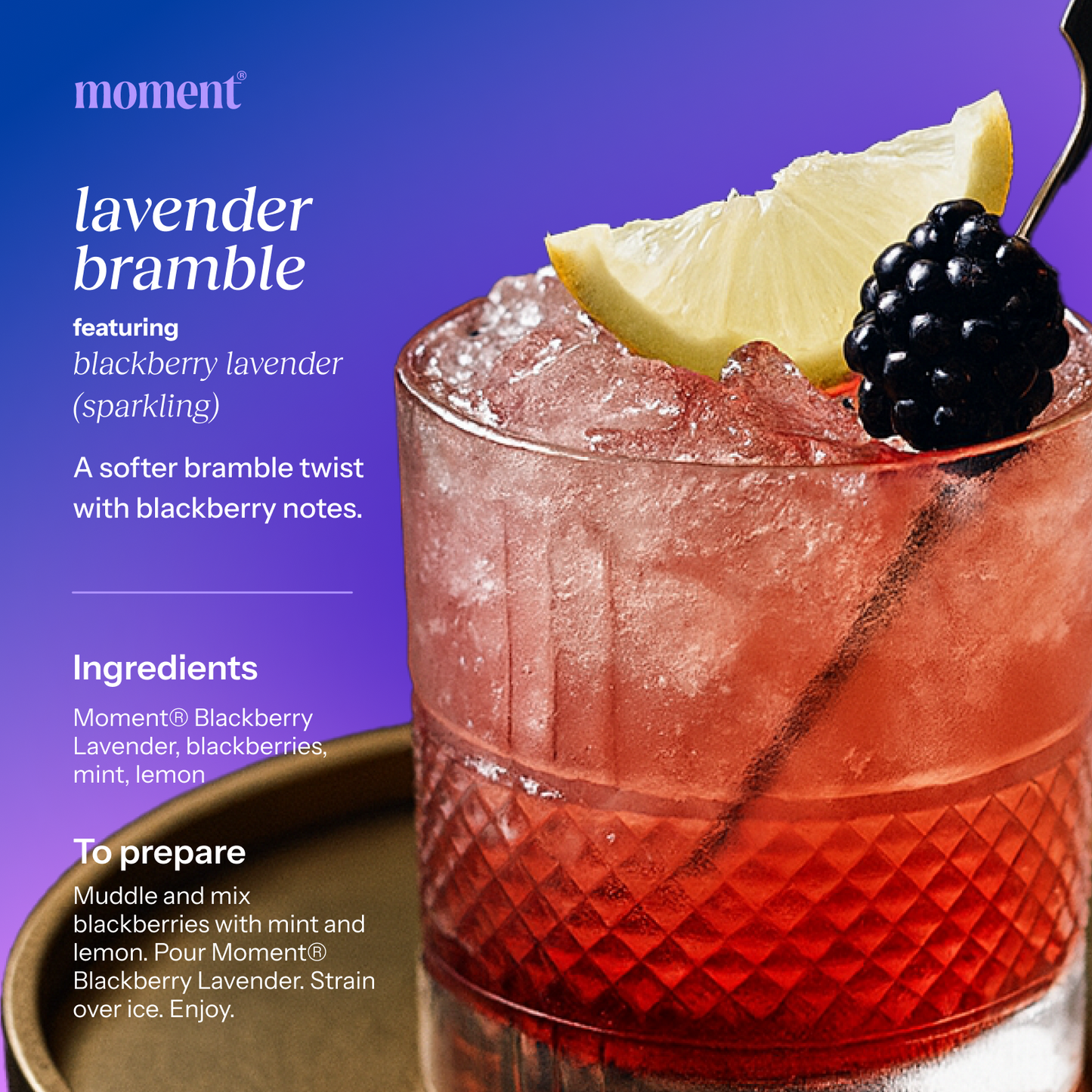 Blackberry lavender (botanical soda | 12 pack)