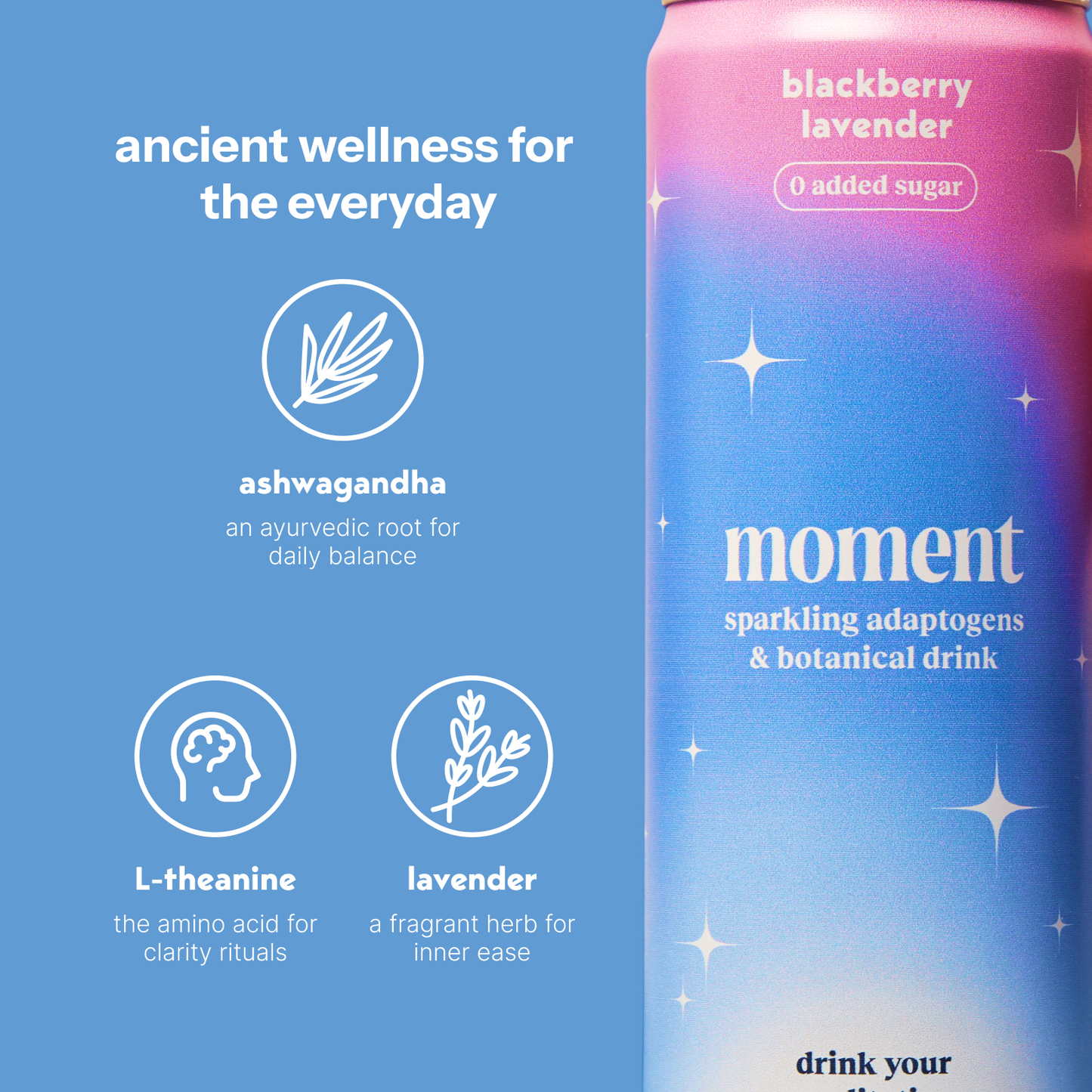 Blackberry lavender (botanical soda | 12 pack)