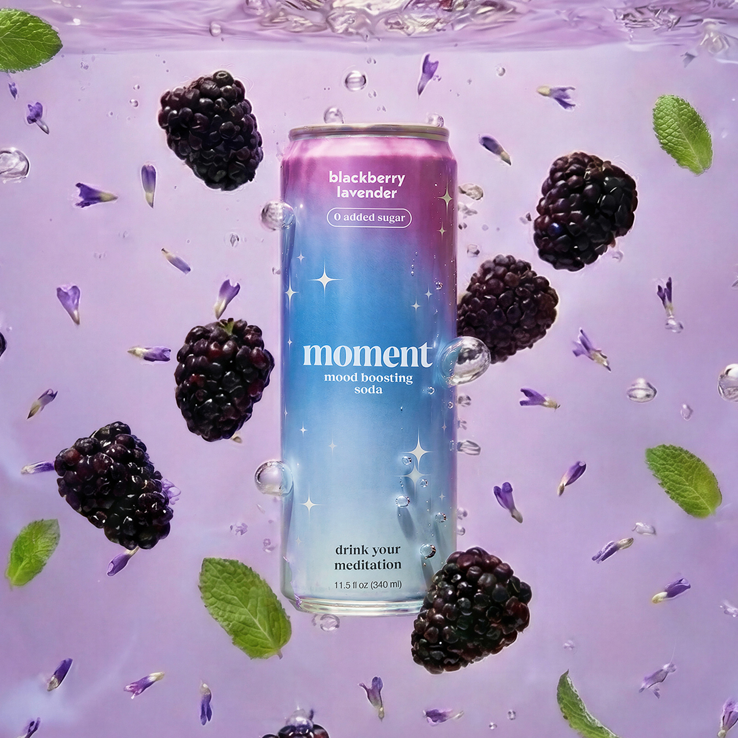 Blackberry lavender (botanical soda | 12 pack)